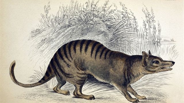 40 sự thật kinh ngạc về cuộc sống: Căn phòng yên tĩnh nhất thế giới nằm ở đâu? - Ảnh 1.