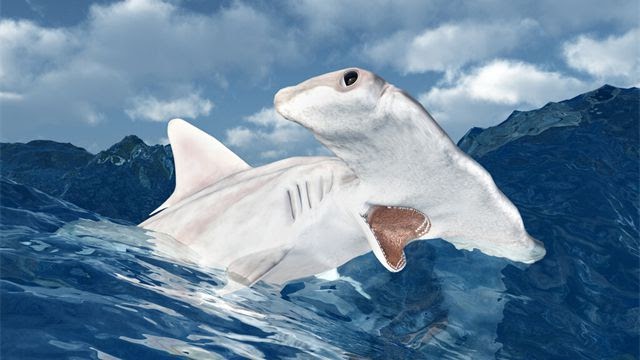 40 sự thật kinh ngạc về cuộc sống: Căn phòng yên tĩnh nhất thế giới nằm ở đâu? - Ảnh 2.