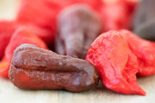 40 sự thật kinh ngạc về cuộc sống: Căn phòng yên tĩnh nhất thế giới nằm ở đâu? - Ảnh 8.