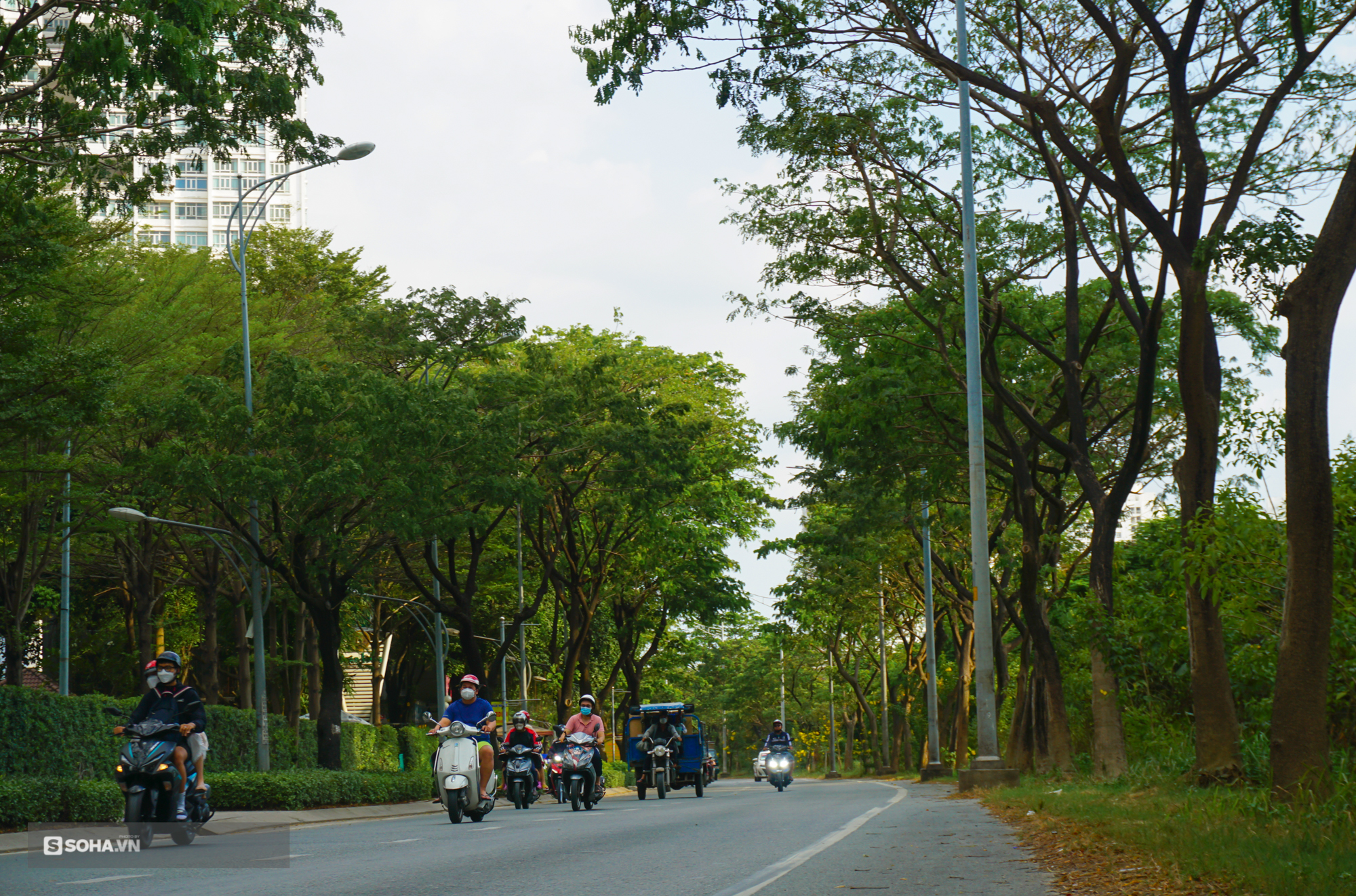 TP.HCM: Có con đường tỷ đô, cảng lớn đón được tàu khủng, huyện Nhà Bè băng băng lên quận - Ảnh 15.