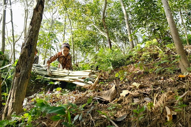 Bỏ Thủ đô về vùng sơn cước nuôi gà trồng cây, cặp đôi 9x có cuộc sống như tiên cảnh - Ảnh 6.