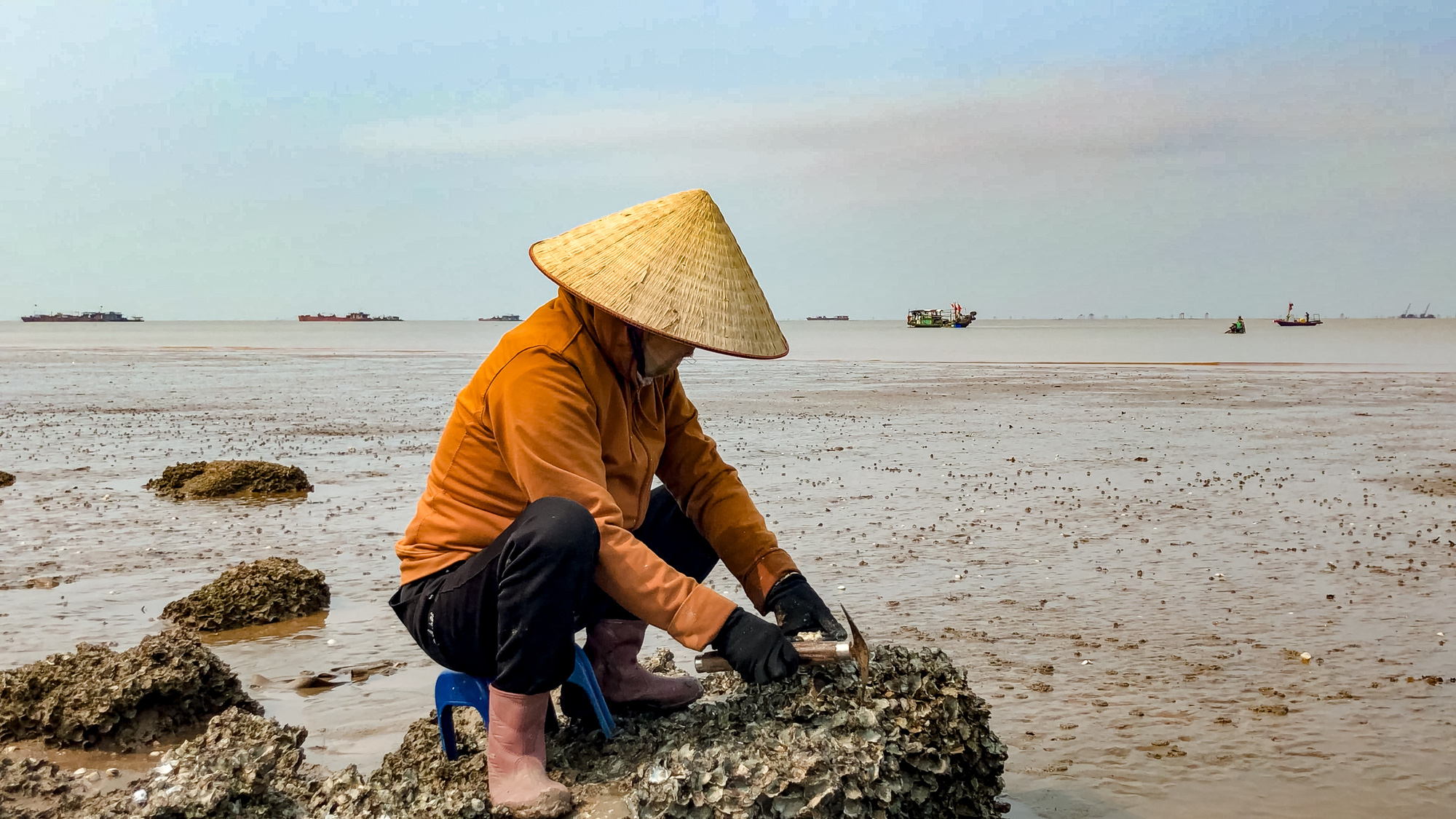Tần tảo kiếm sống bằng nghề cầm búa ra biển chọc đá, bắt con vật tốt cho sinh lý đàn ông - Ảnh 6.