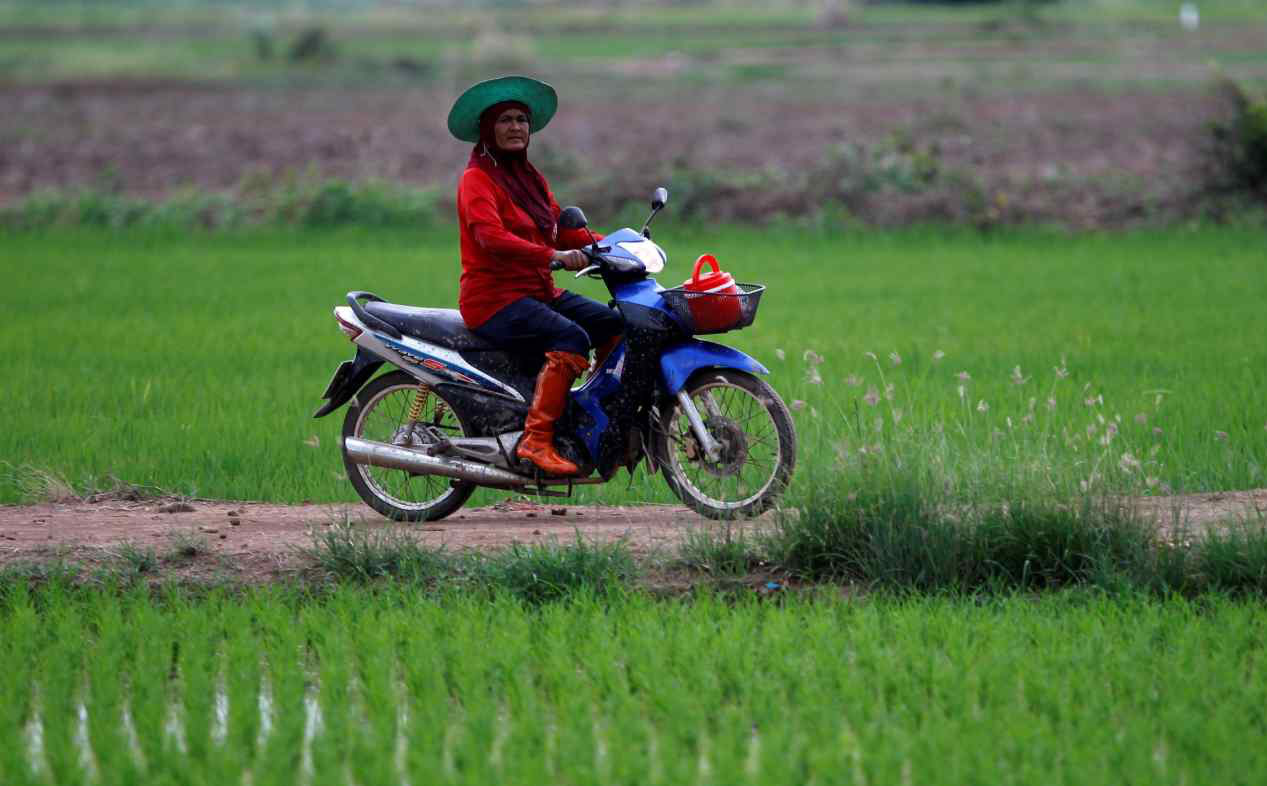 Lương thực sụt giảm mạnh vì xung đột: Láng giềng Việt Nam hưởng lợi lớn nhờ xuất khẩu gạo