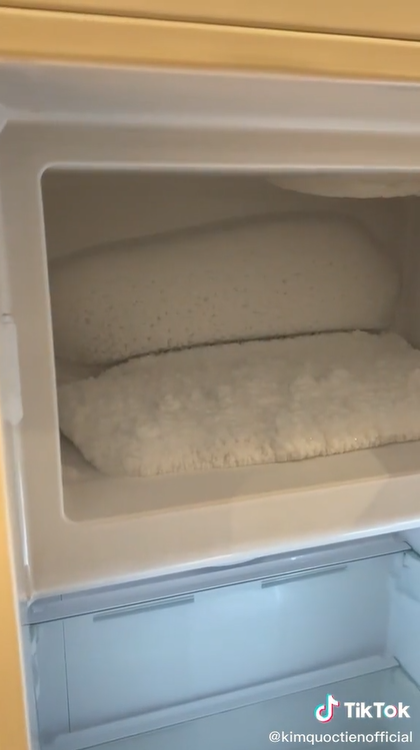 Tranh luận về chiếc tủ lạnh giá 109 triệu: Tuyết dày cả tảng, dùng công nghệ lạc hậu? - Ảnh 7.