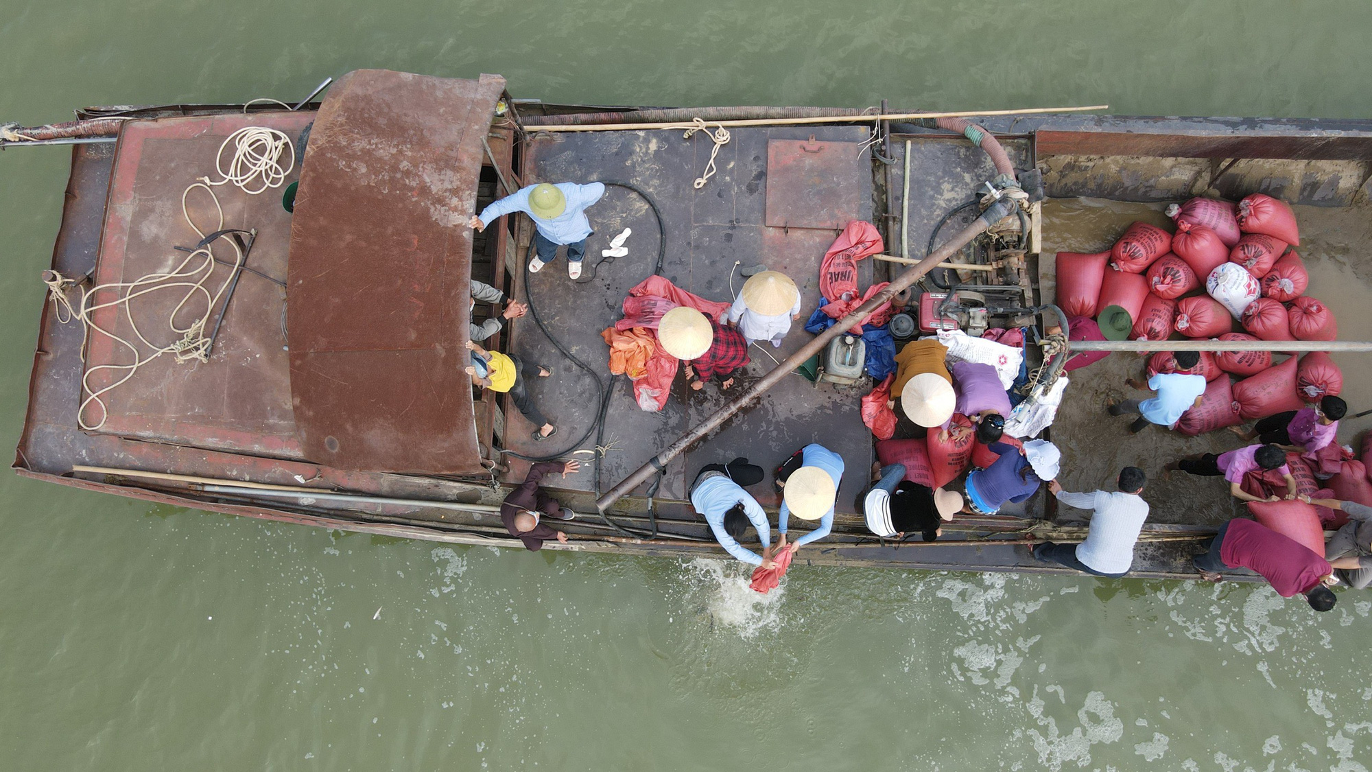 Ảnh: Hàng trăm phật tử và người dân xuống sông Lam phóng sinh 14 tấn cá - Ảnh 7.
