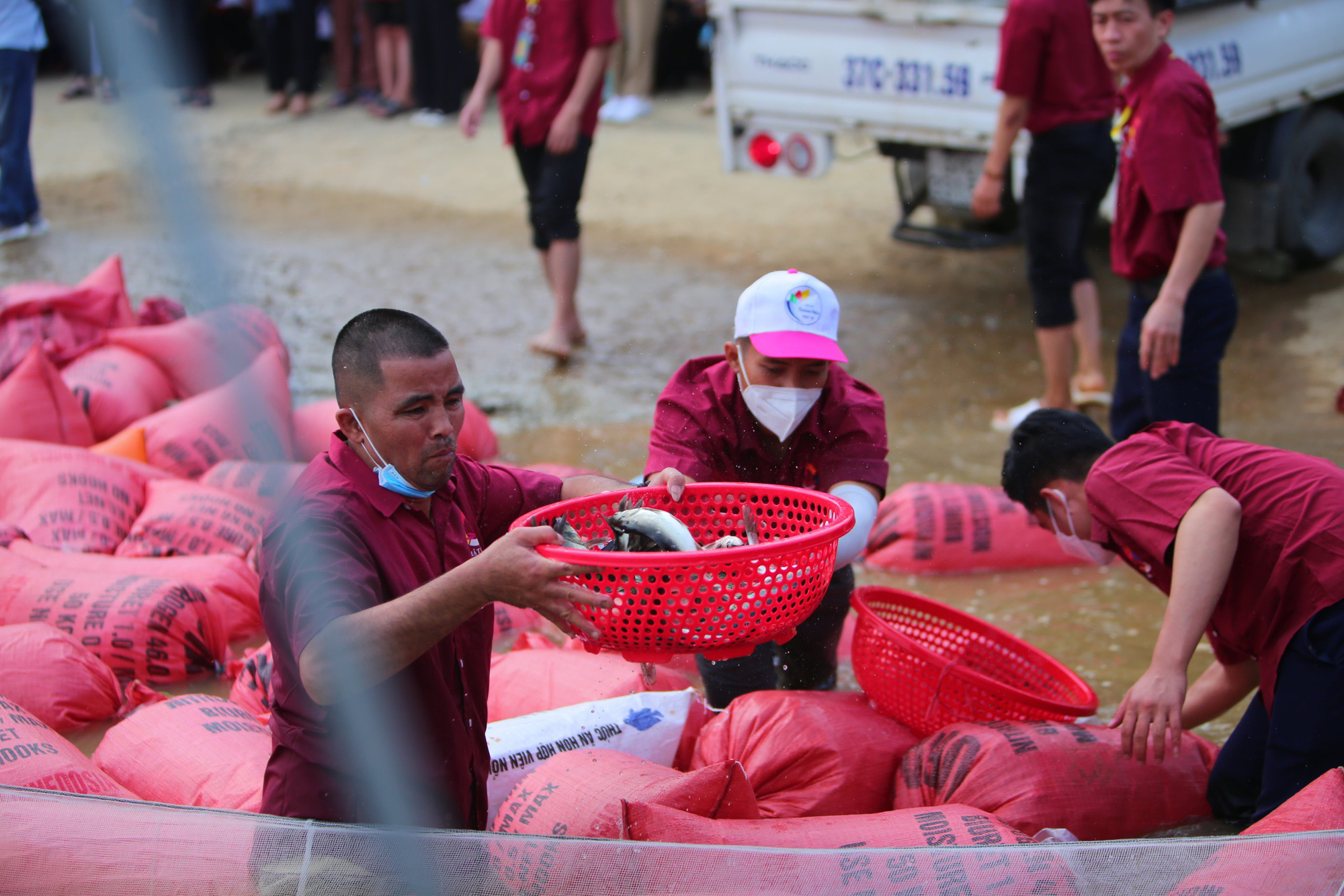 Ảnh: Hàng trăm phật tử và người dân xuống sông Lam phóng sinh 14 tấn cá - Ảnh 9.