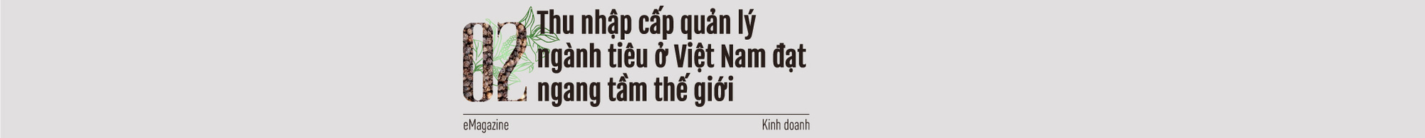 “Vua tiêu” Việt nổi danh thế giới: Việt Nam chính là nước quyết định giá hồ tiêu quốc tế - Ảnh 3.