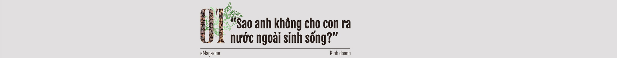 “Vua tiêu” Việt nổi danh thế giới: Việt Nam chính là nước quyết định giá hồ tiêu quốc tế - Ảnh 1.