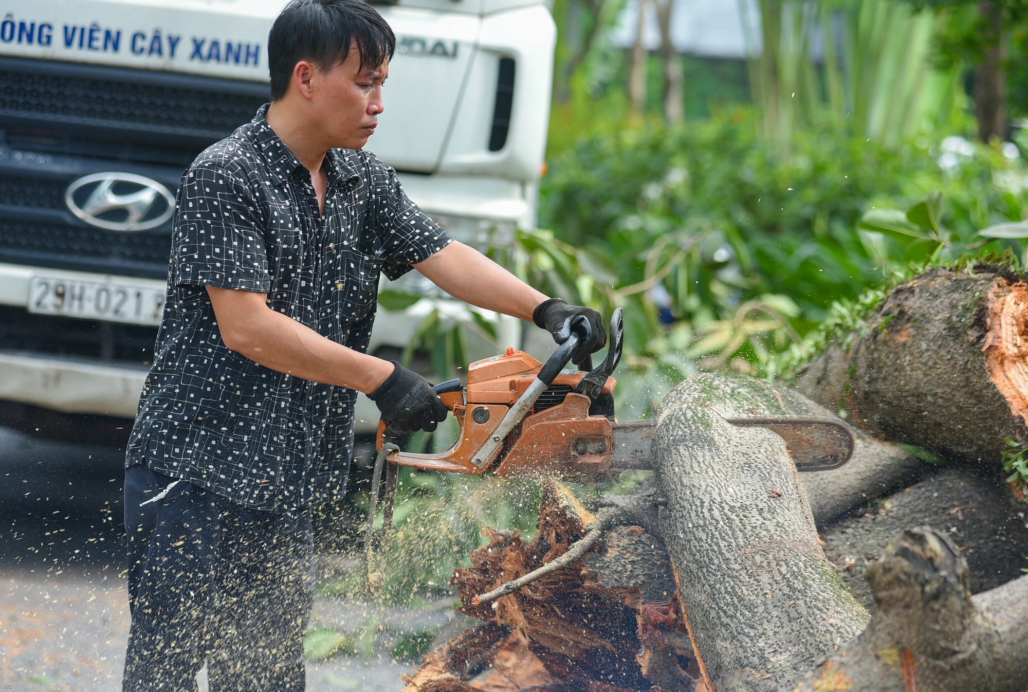 Cây đa trăm tuổi cổ nhất Thủ đô bất ngờ gãy cành, giao thông ùn tắc nghiêm trọng - Ảnh 5.