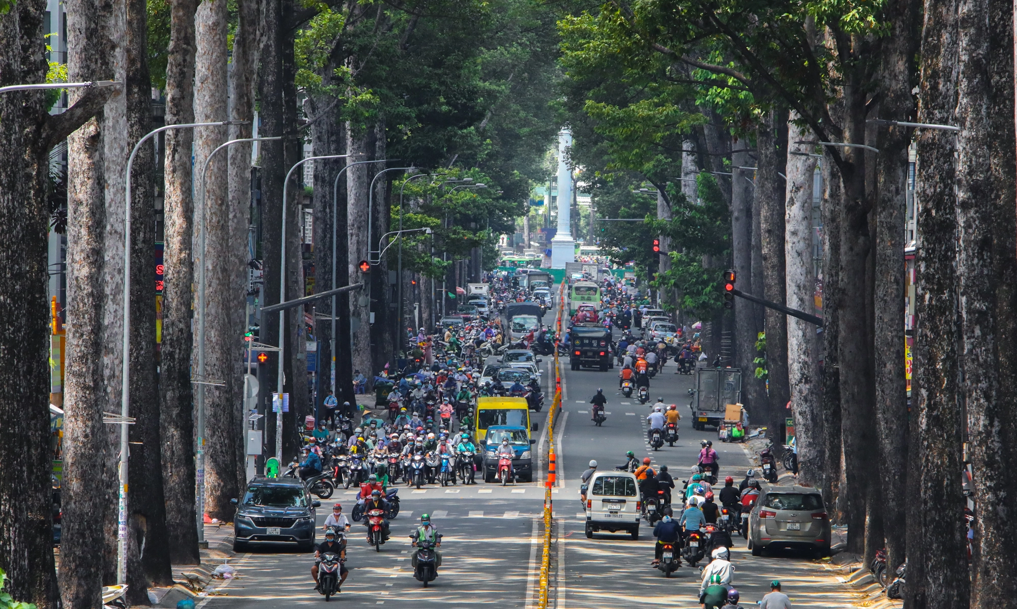 Những mảng xanh làm mát lòng người Sài Gòn trong ngày hè oi bức - Ảnh 6.