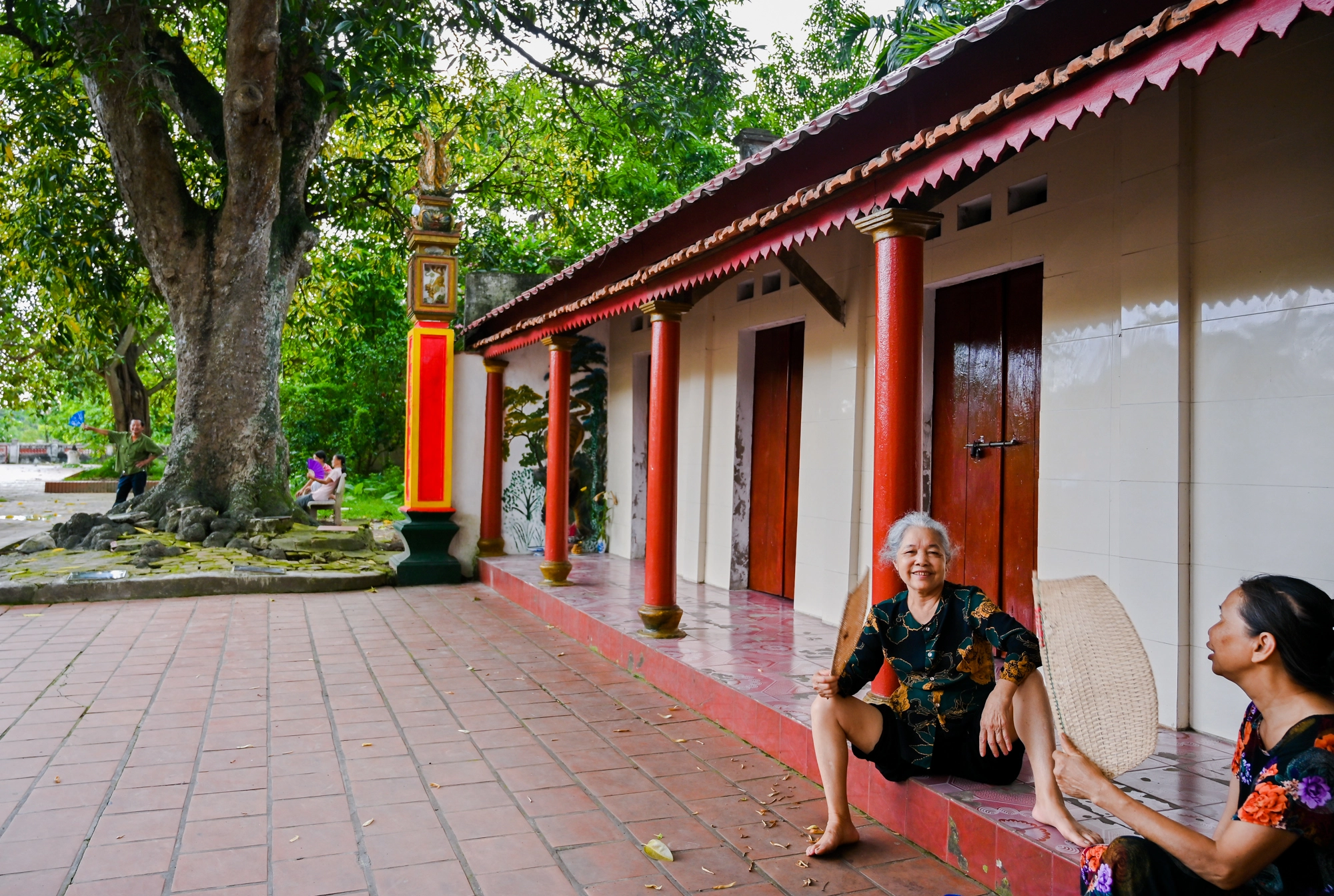 Những cây cổ thụ xanh tốt nghìn năm, thách thức thời gian ở thủ đô Hà Nội - Ảnh 6.