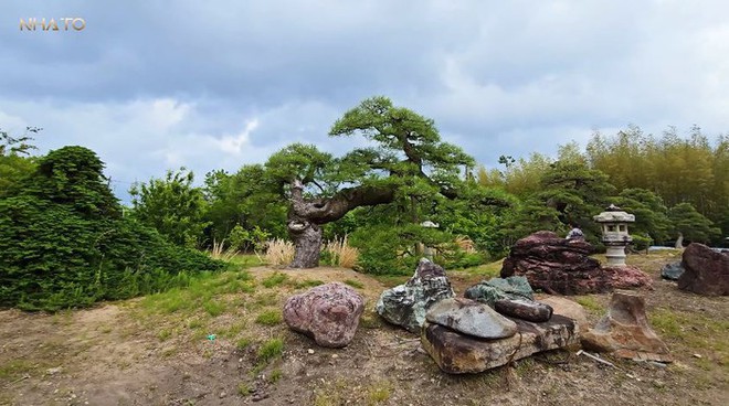 Thăm chủ nhân 15 vườn Nhật sở hữu loạt “bảo vật” quý giá nhất thế giới, rưng rưng thấy một vật dụng rất Việt Nam - Ảnh 5.
