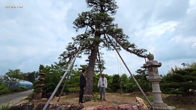 Thăm chủ nhân 15 vườn Nhật sở hữu loạt “bảo vật” quý giá nhất thế giới, rưng rưng thấy một vật dụng rất Việt Nam - Ảnh 2.