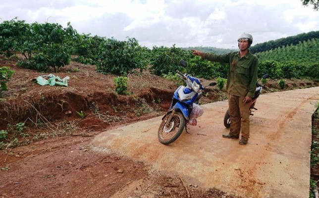 Dân phải bán cà phê non để đóng tiền làm đường, đơn vị thi công 