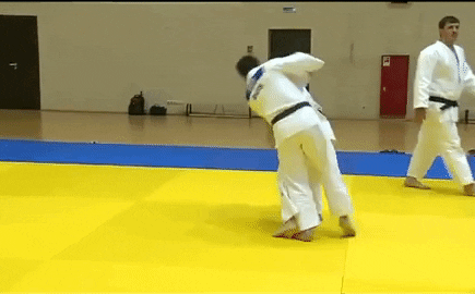 Học giả Anh: &quot;Trò chơi&quot; của ông Putin không phải cờ vua, mà là judo - Phương Tây liệu có cửa thắng?