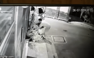 Mất 5 chậu lan, chủ nhà xem lại camera an ninh và kinh ngạc khi thấy chân dung kẻ trộm