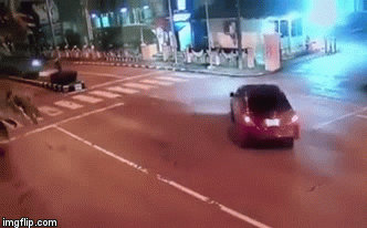 Clip: Chạy với tốc độ kinh hoàng, xe máy tông thẳng vào ô tô, người văng xa chục mét