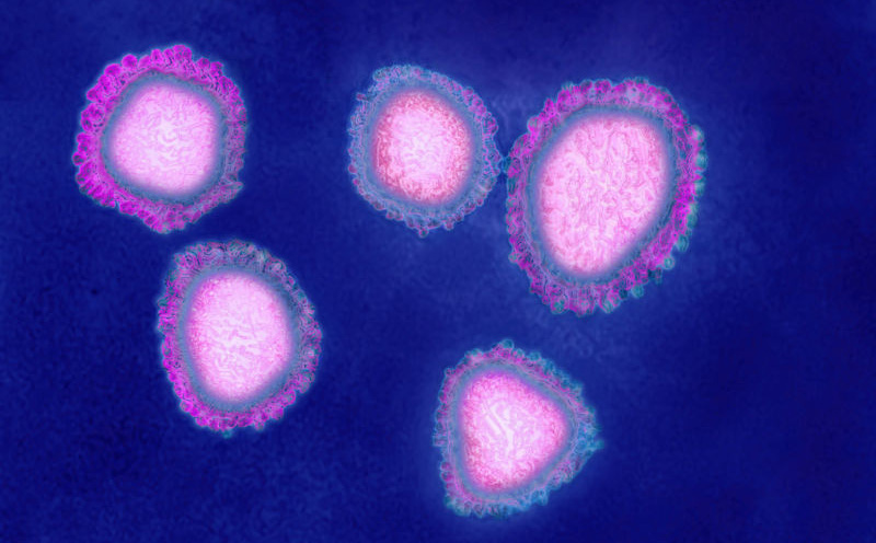 Bí ẩn phía sau dịch cúm lạ ở Trung Quốc: Thủ phạm có thể là loại virus chưa từng phát hiện trước đây