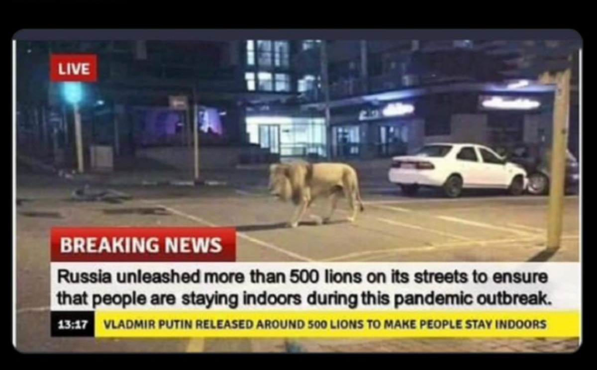 Thông tin &quot;Nga thả 500 con sư tử để người dân không ra khỏi nhà trong dịch COVID-19&quot; là tin giả