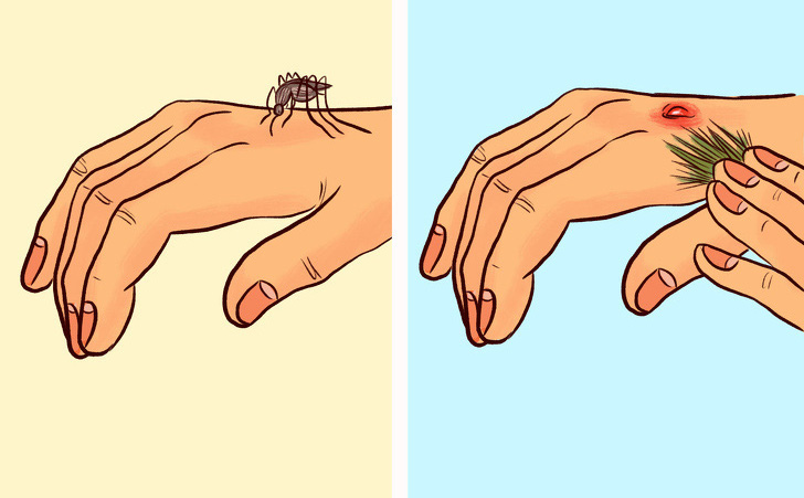 'Bỏ túi' 9 kỹ năng sinh tồn ở nơi hoang vu và hiểm trở: Cực kỳ dễ làm mà lại hiệu quả
