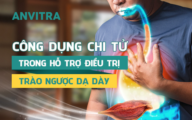 Chi Tử hỗ trợ điều trị trào ngược dạ dày, 90% người bệnh chưa biết điều này