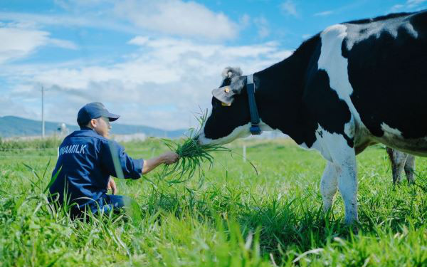 Vinamilk: 15 năm xây hệ thống trang trại với "bộ sưu tập" các tiêu chuẩn quốc tế