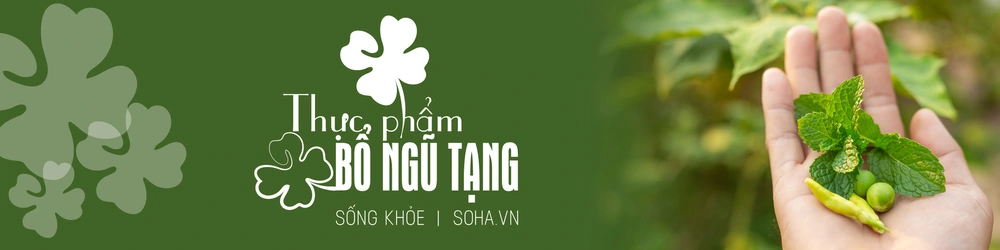 Loại rau là thuốc bổ tự nhiên, tốt cho thận, sạch đại tràng: Nhiều người chưa biết để dùng - Ảnh 2.