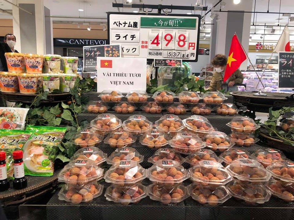 Một loại quả Việt Nam thắng lớn tại Nhật, thương nhân Trung Quốc nườm nượp tìm mua - Ảnh 2.