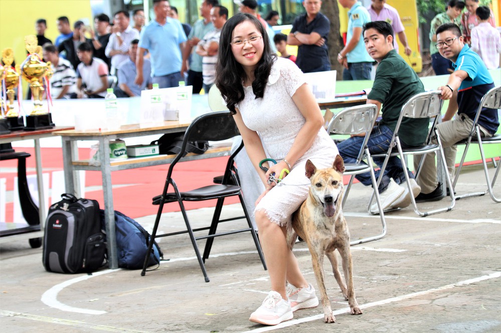 Cô dược sĩ đam mê nuôi chó Phú Quốc, sở hữu ba khuyển vương trị giá một tỷ đồng - Ảnh 9.
