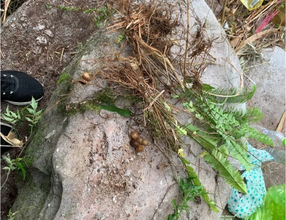 Cận cảnh tảng đá ở vực sâu Yên Tử mà người phụ nữ U60 trú ẩn 7 ngày: Nhiều dấu vết sót lại - Ảnh 3.
