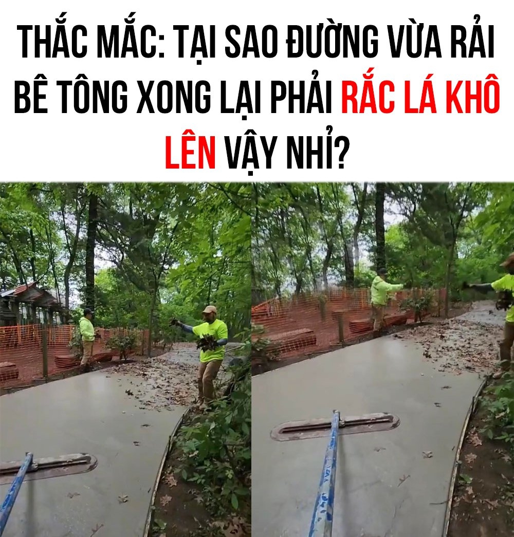Nhiều người thắc mắc: Đường vừa rải bê tông xong phải rắc lá khô lên trên để làm gì? - Ảnh 1.