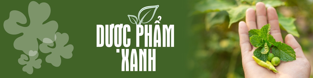 Việt Nam có một loại củ bán rẻ như cho, là thực phẩm vàng bảo vệ tim, chống ung thư - Ảnh 6.