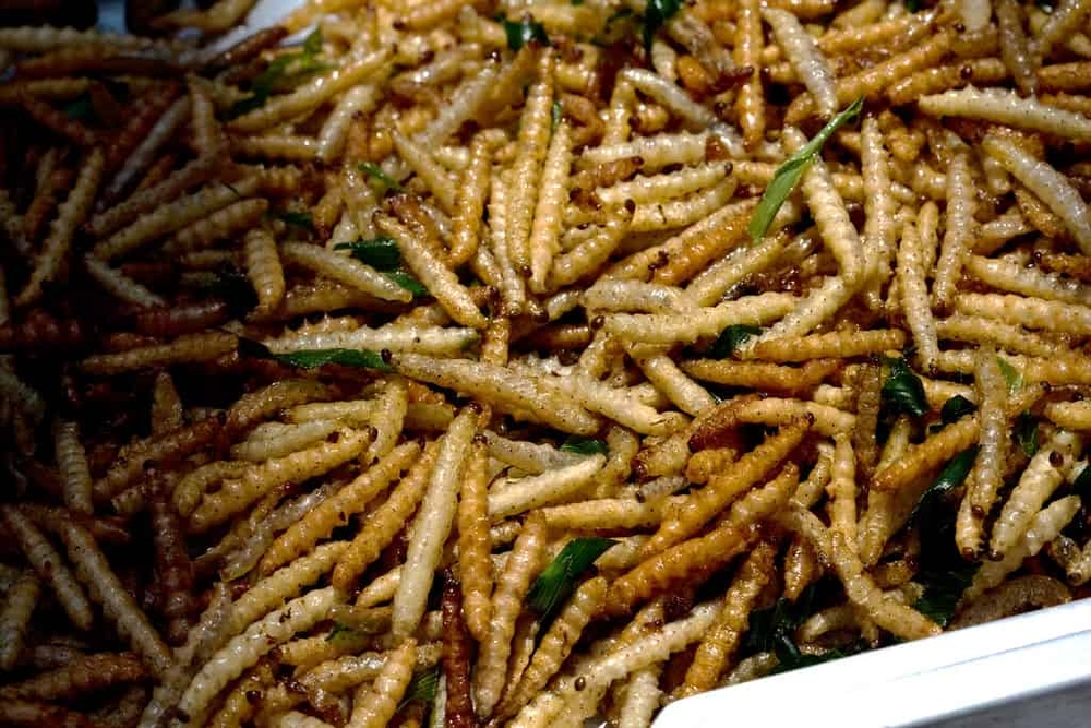 Thực phẩm của tương lai gây sốt ở Thái Lan: Trông đáng sợ nhưng mùi vị lại ngon bất ngờ! - Ảnh 4. Thực phẩm của tương lai gây sốt ở Thái Lan: Trông đáng sợ nhưng mùi vị lại ngon bất ngờ! - Ảnh 4.