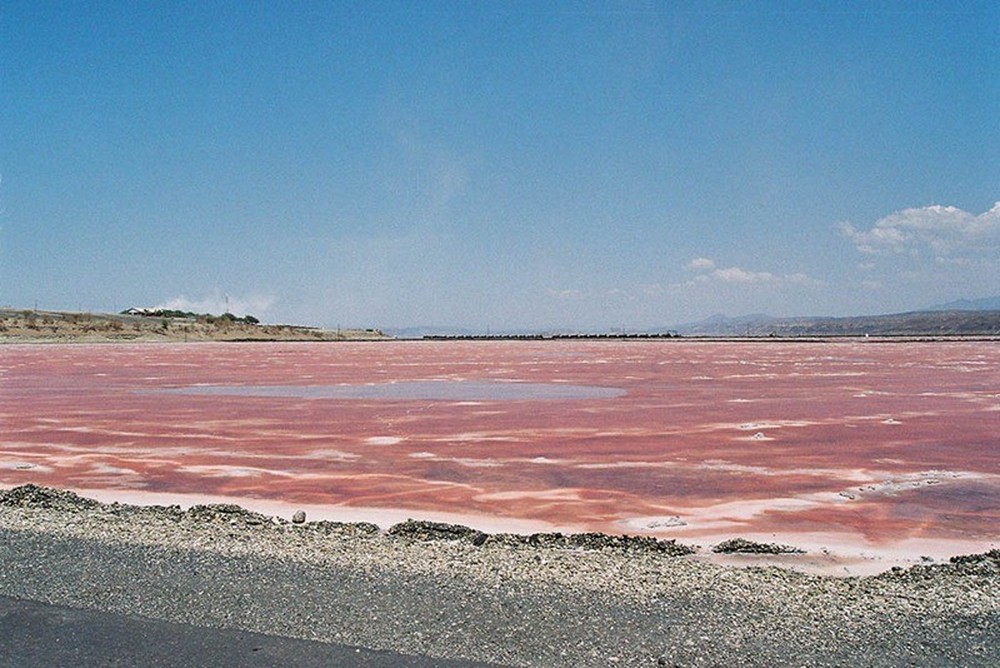 Hồ nước độc đáo của thế giới: Có màu hồng tuyệt đẹp nhưng chỉ 2 sinh vật chọn làm nhà - Ảnh 2.