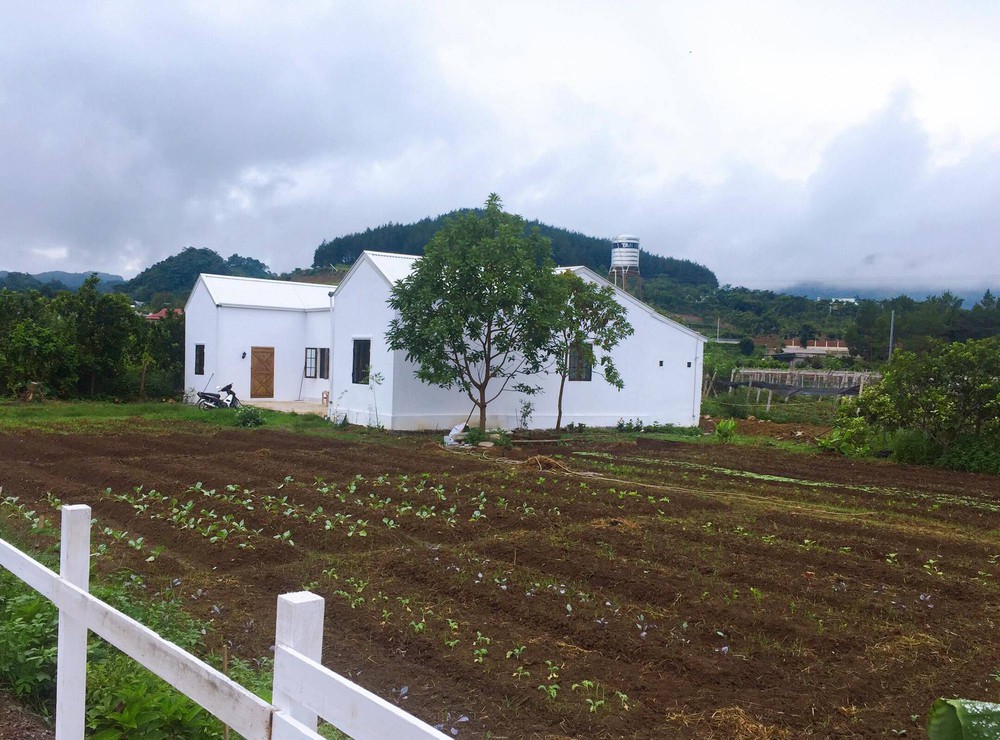 Cô gái sửa nhà kho, nơi nuôi heo thành nhà nông trại: Hình ảnh trước và sau gây bất ngờ - Ảnh 11.