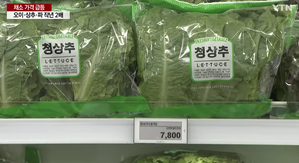 Vật giá tăng vọt ở Hàn Quốc: Xà lách thành rau vàng, phục vụ hạn chế trong nhà hàng - Ảnh 3.