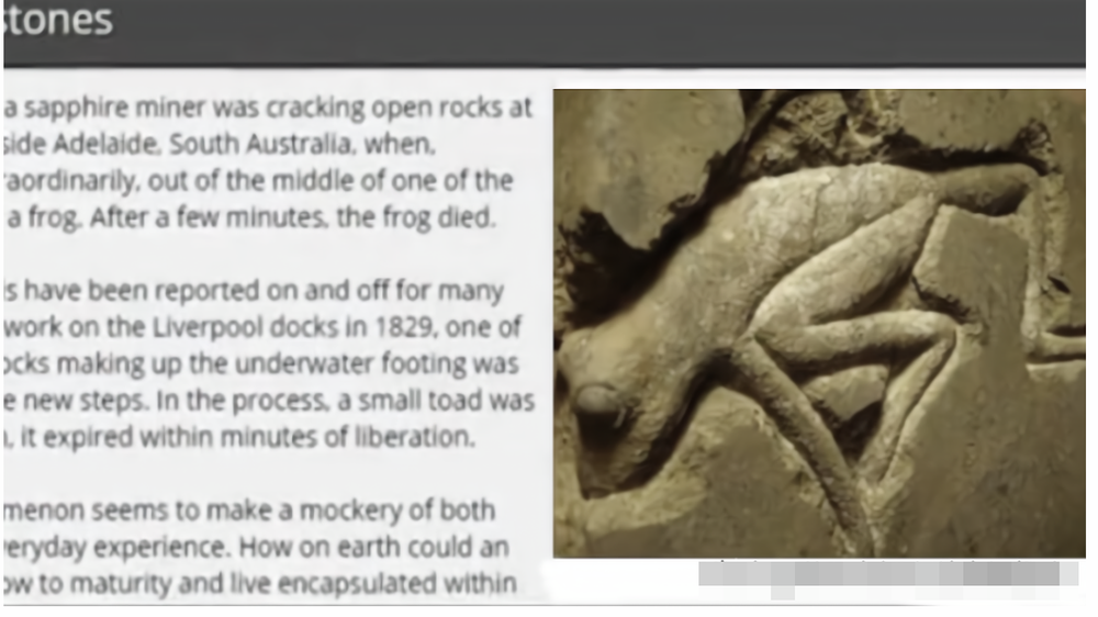 Tìm thấy ếch 2 triệu tuổi vẫn sống trong mỏ dầu: Chìa khóa trường sinh của loài người? - Ảnh 4.