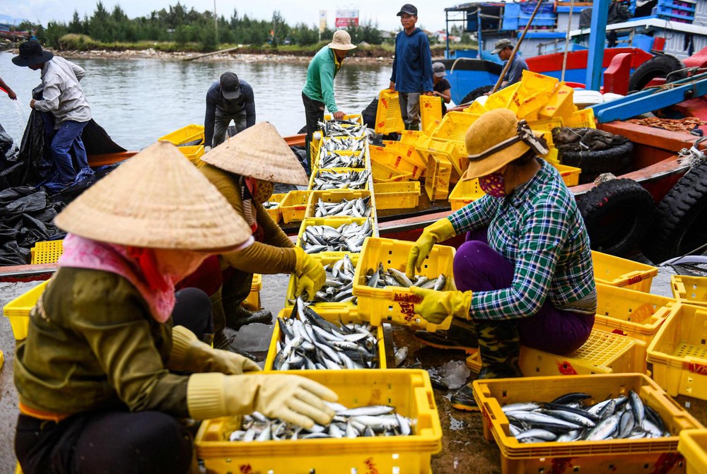 Báo Thái Lan: Việt Nam là điểm sáng kinh tế hiếm hoi giữa những bất định trên toàn cầu - Ảnh 2.