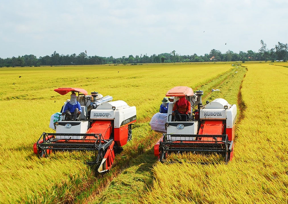 Một sản phẩm nông nghiệp của Việt Nam xuất khẩu cao kỷ lục, đạt 2 tỷ USD trong 7 tháng - Ảnh 1.