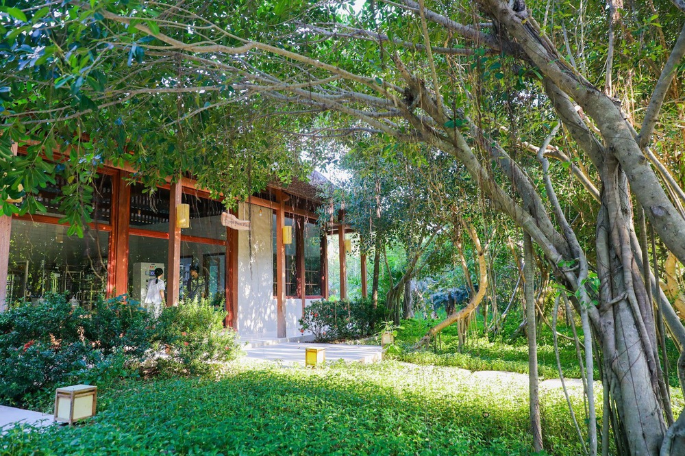 Theo chân mẹ voọc và thợ lặn lên rừng, xuống biển ở Six Senses Ninh Van Bay - Ảnh 19. Theo chân mẹ voọc và thợ lặn lên rừng, xuống biển ở Six Senses Ninh Van Bay - Ảnh 19.