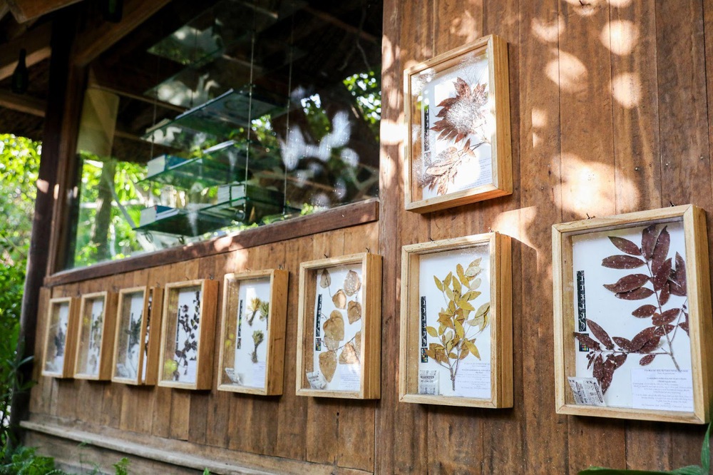 Theo chân mẹ voọc và thợ lặn lên rừng, xuống biển ở Six Senses Ninh Van Bay - Ảnh 12. Theo chân mẹ voọc và thợ lặn lên rừng, xuống biển ở Six Senses Ninh Van Bay - Ảnh 12.