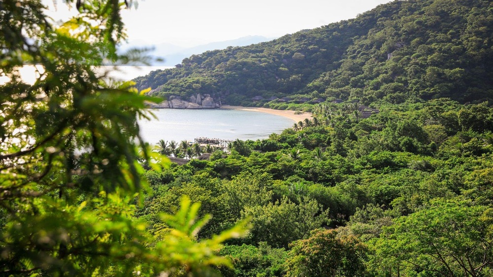Theo chân mẹ voọc và thợ lặn lên rừng, xuống biển ở Six Senses Ninh Van Bay - Ảnh 4. Theo chân mẹ voọc và thợ lặn lên rừng, xuống biển ở Six Senses Ninh Van Bay - Ảnh 4.