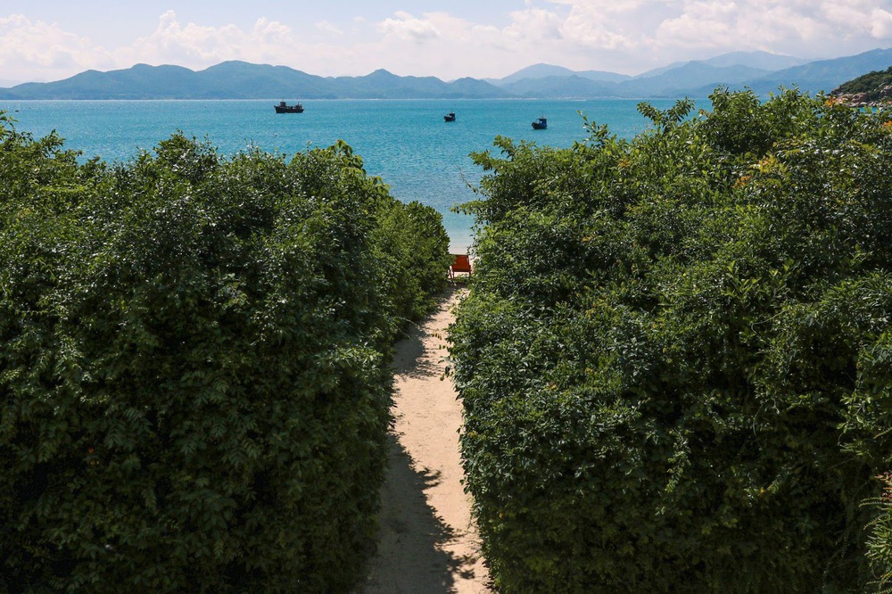 Theo chân mẹ voọc và thợ lặn lên rừng, xuống biển ở Six Senses Ninh Van Bay - Ảnh 2. Theo chân mẹ voọc và thợ lặn lên rừng, xuống biển ở Six Senses Ninh Van Bay - Ảnh 2.