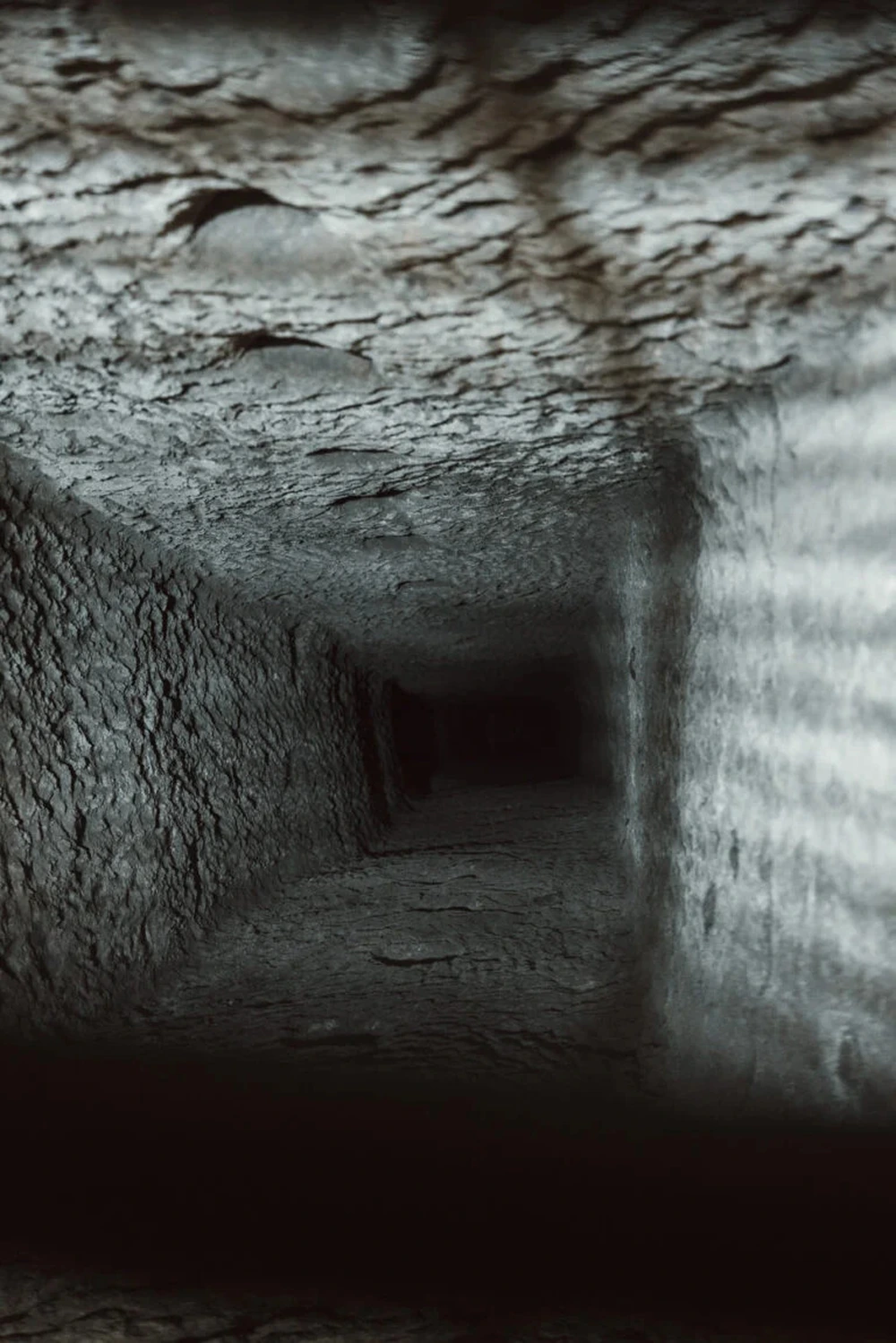 Bí mật dưới tầng hầm của người đàn ông: Từng chứa được 20.000 người và giờ là địa điểm du lịch - Ảnh 9.