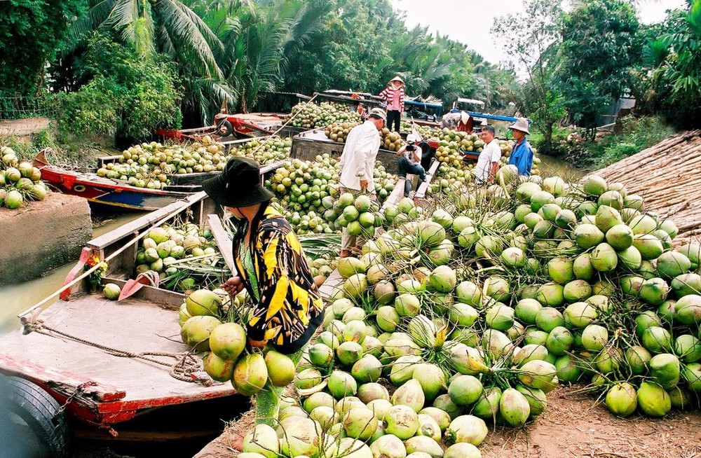 Vùng ngay gần TP.HCM được tạp chí Canada khen ngợi: “Đúng là một hòn ngọc bị lãng quên” - Ảnh 7.