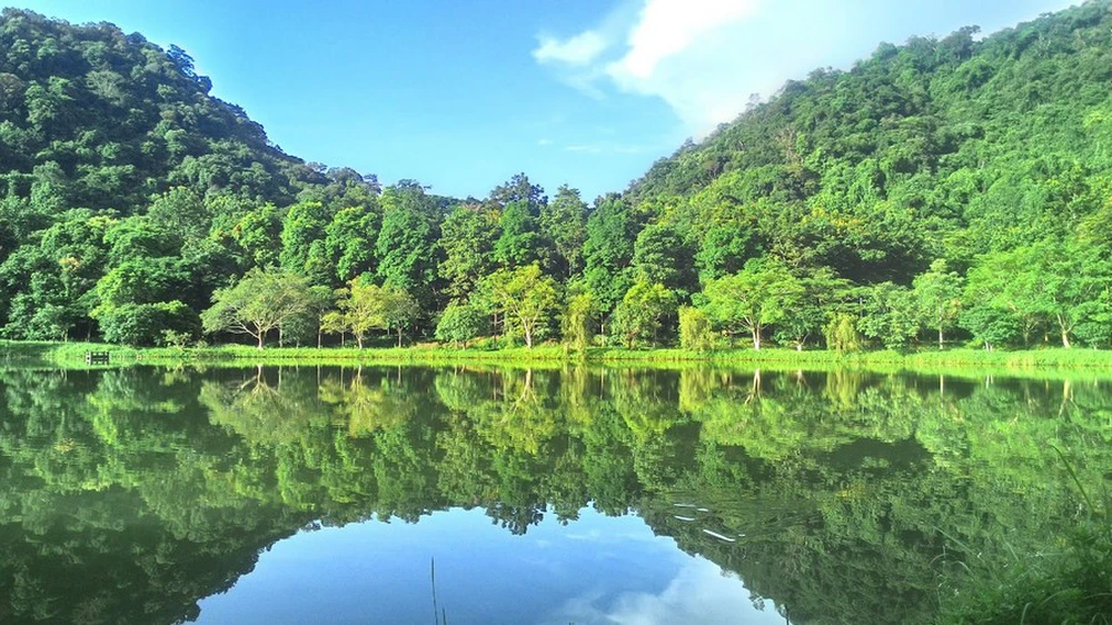 Một Vườn quốc gia Việt Nam vừa đạt giải hàng đầu châu Á, là năm thứ 5 liên tiếp được vinh danh - Ảnh 11.