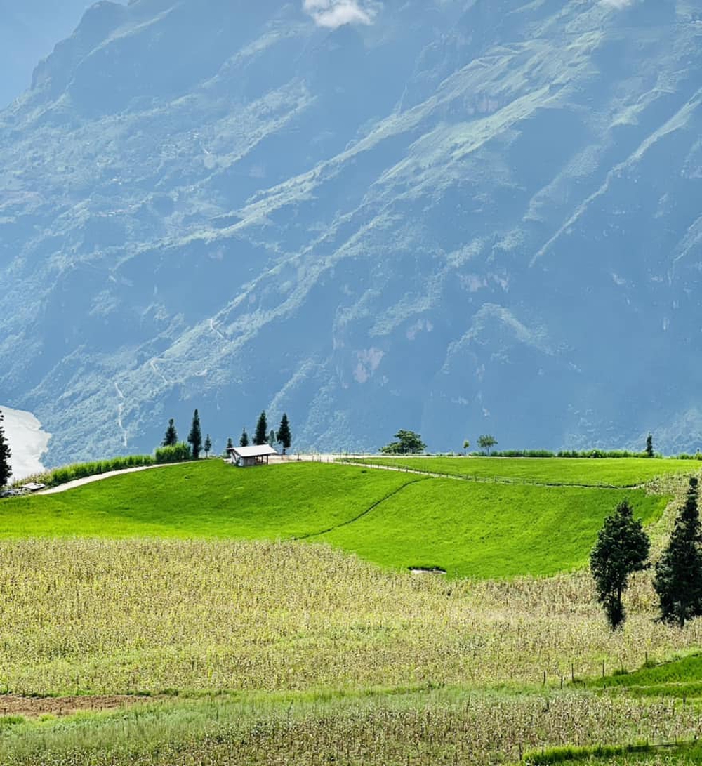 Phát hiện một thảo nguyên được du khách nhận xét Thụy Sĩ thu nhỏ ngay miền Bắc, cách Hà Nội gần 400km - Ảnh 1.