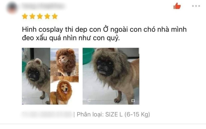 Đặt mua bờm sư tử dũng mãnh cho cún cưng, chủ nhân giật mình khi nhận hàng tận tay - Ảnh 2.