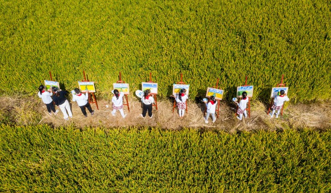 24h qua ảnh: Các cô gái chụp ảnh trên cánh đồng cỏ Muhly hồng - Ảnh 2.
