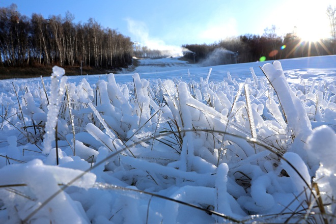 24h qua ảnh: Băng tuyết phủ trắng cánh đồng ở Trung Quốc - Ảnh 5.